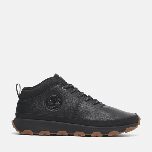 Baskets à lacets Winsor en noir, , noir, Taille: 40 - Timberland - Modalova