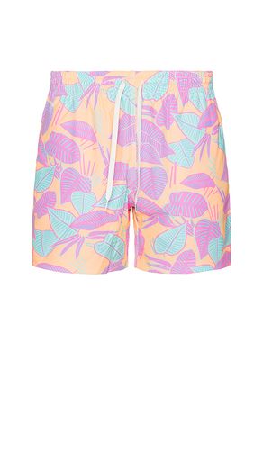 SHORT DE BAIN THE en . Taille L. Also en M, S, XL/1X - Chubbies - Modalova