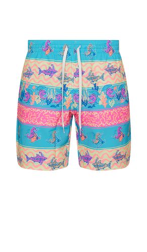 The Rodeo Stingray 7 Swim Short en . Taille M. Also en S, XL/1X - Chubbies - Modalova