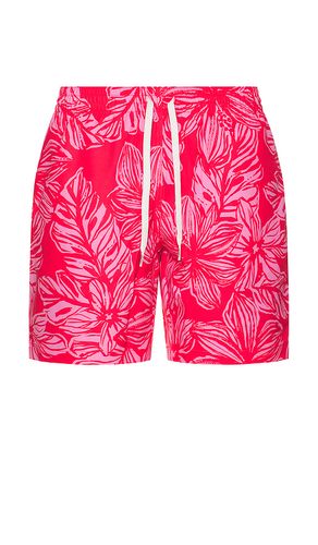 SHORT DE BAIN THE en . Taille M. Also en S, XL/1X - Chubbies - Modalova