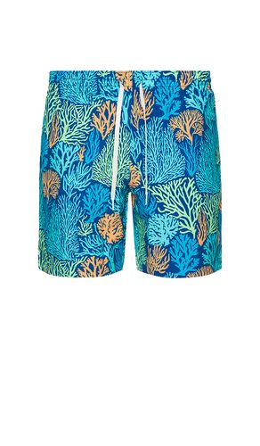 SHORT DE BAIN THE en . Taille L. Also en M, S, XL/1X - Chubbies - Modalova