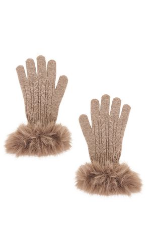 GANTS CASHMERE en - Adrienne Landau - Modalova