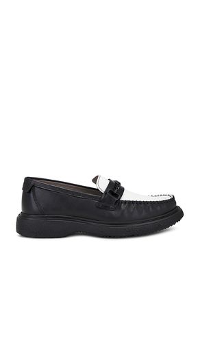 LOAFERS GIBBS en . Taille 10. Also en 12, 13, 7 - ALLSAINTS - Modalova
