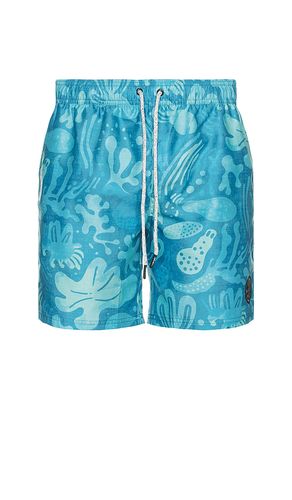 SHORT DE BAIN en . Taille L. Also en M, S, XL/1X - Maui and Sons - Modalova