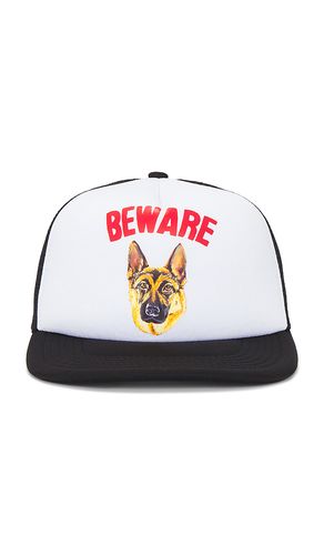 Market CHAPEAU en Black - Market - Modalova