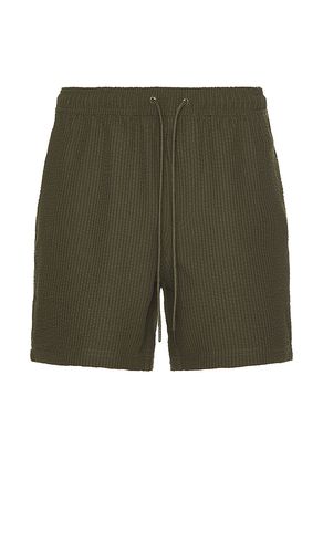 SHORT LA BREA en . Taille S. Also en M, L - Rails - Modalova