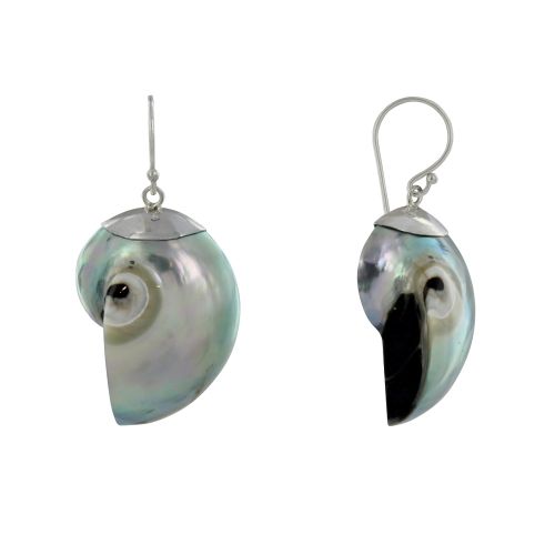 Boucles d'Oreilles Argent 925 Nautile Coquillage - Gris Acier - LES POULETTES BIJOUX - Modalova