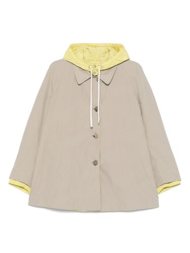 Miu Miu Cotton Blouson Jacket - Miu Miu - Modalova