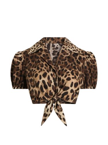Leo Print Cotton Shirt - Dolce & Gabbana - Modalova