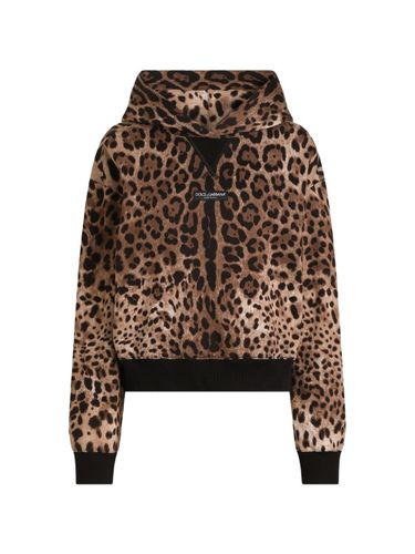 Leo Print Cotton Hoodie - Dolce & Gabbana - Modalova