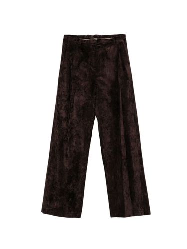 Alysi Velvet Trousers - Alysi - Modalova