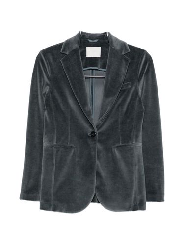 Velvet Single-Breasted Jacket - Circolo 1901 - Modalova