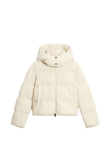 Woolrich Madison Short Down Jacket - Woolrich - Modalova