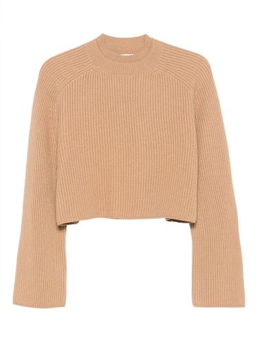 Crew Neck Sweater In Cashmere Wool - Max Mara - Modalova