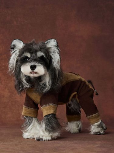 Veste zippée pour chien sweat-shirt à volants patchwork pour animaux de compagnie vêtements chauds et décontractés pour petits chiens - milanoo.com - Modalova