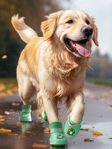 Bottes de pluie en silicone pour chien motif dinosaure vert imperméables antidérapantes et antichute pour chiens de taille moyenne à grande - milanoo.com - Modalova