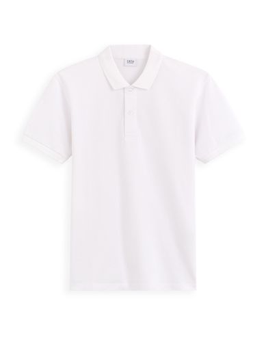 Polo piqué straight 100% coton - camaieu - Modalova