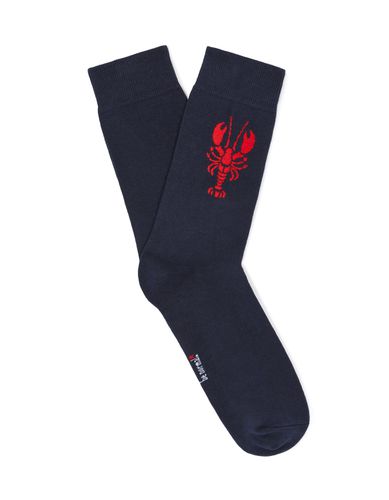 Chaussettes hautes motif homard - marine - camaieu - Modalova