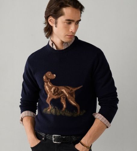 HM7000281 Pull Highland Hound (S), Casuel, Laine, Classique, Manche longue - Hackett London - Modalova