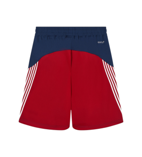 M001418_AF13537 Short graphique (3XL), Sport, Multisport, Polyester - EA7 - Modalova