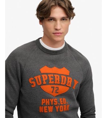 M2014553A Sweat Felt Applique Relaxed (XXL), Casuel, Coton - Superdry - Modalova