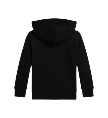 Pour garçon. 322979316002 Sweat à capuche en molleton avec Big Pony (2años= 94/100cm), Casuel, Sport, Coton, Manche l - Polo Ralph Lauren - Modalova