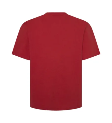 PM509624 T-shirt Suan marron (XS), Casuel, , Manche courte, Le coton biologique, Durable - Pepe Jeans - Modalova