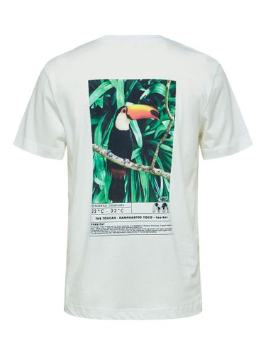 Imprimé T-shirt - Selected - Modalova