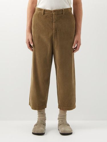 Pantalon raccourci en velours côtelé de coton Demi - Barena Venezia - Modalova