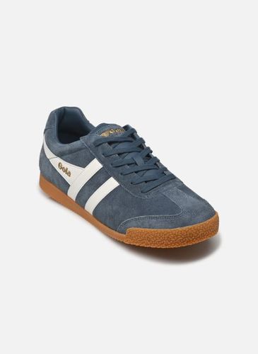Baskets Harrier Suede - Gola - Modalova