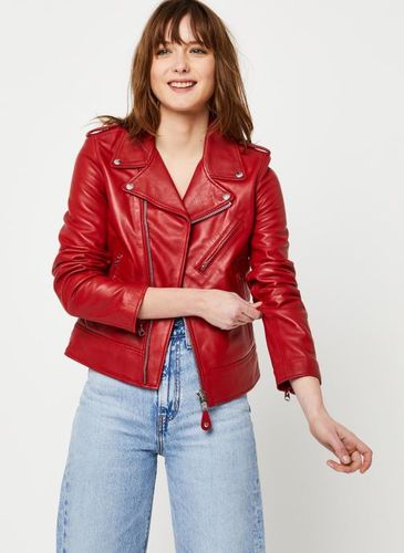 Vêtements Veste Perfecto-LCW1601D - Schott - Modalova