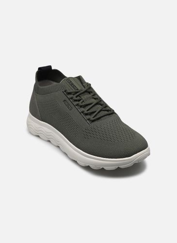 Baskets Geox U SPHERICA pour Homme - Geox - Modalova