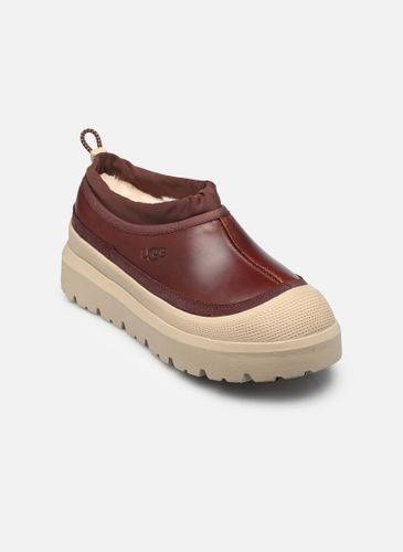 Bottines et boots M Tasman Weather Hybrid - UGG - Modalova