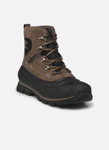 Bottines et boots BUXTON LACE BOOT WATERPROOF - Sorel - Modalova