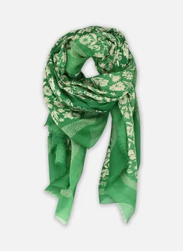 Echarpes et Foulards ZA81DE - Molly Bracken - Modalova