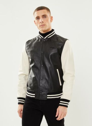 Vêtements Teddy Bicolor - Schott - Modalova
