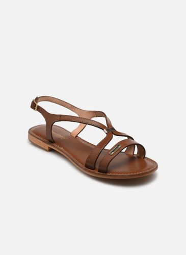 Sandales et nu-pieds HAMOON - Les Tropéziennes par M Belarbi - Modalova