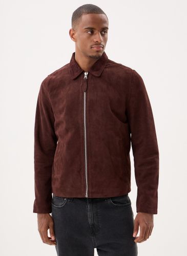 Vêtements Blouson Suede-LCCLASSICS - Schott - Modalova