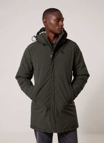 Vêtements Parka Doublure Doudoune ELJIN pour - Schott - Modalova