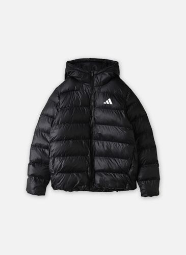 Vêtements ESS SD PUF HD J pour - adidas sportswear - Modalova