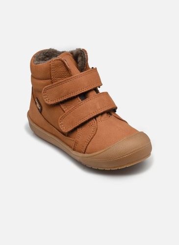 Bottines et boots Ollie Wool Tex pour - Froddo - Modalova