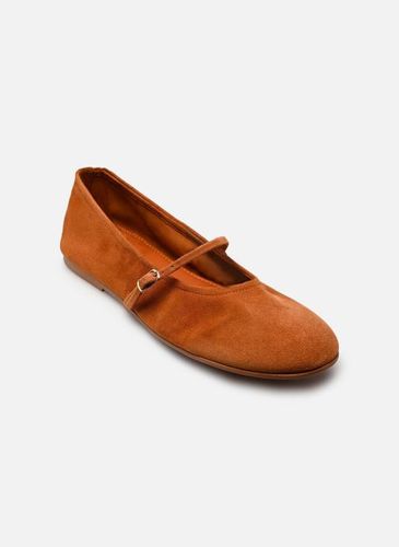 Steve Madden Besette pour - Steve Madden - Modalova