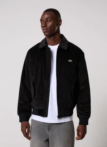 Lacoste Veste courte BH2994 pour - Lacoste - Modalova