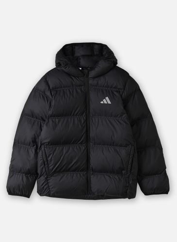 Adidas sportswear J SD JKT pour - adidas sportswear - Modalova
