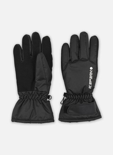 Gants HAYDEN pour Accessoires - Icepeak - Modalova