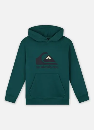 Vêtements Big Logo Hoodie Youth EQBFT03925 pour Accessoires - Quiksilver - Modalova