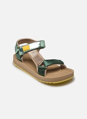Sandales et nu-pieds FOREST - D Franklin - Modalova