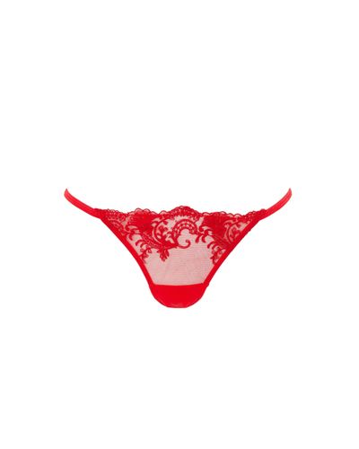 Marseille Embroidered Sheer Panty Red - Bluebella - US - Modalova