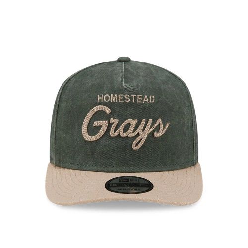 Casquette 19TWENTY Adjustable Homestead Grays MLB Negro League Vert unisex - New Era Cap - Modalova
