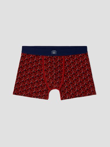 Boxer en coton à motif - Devred - Modalova